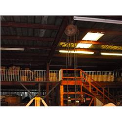 Overhead chain hoist