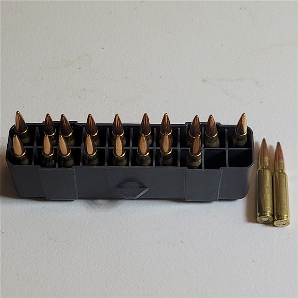 .308 Win Reloaded Ammo