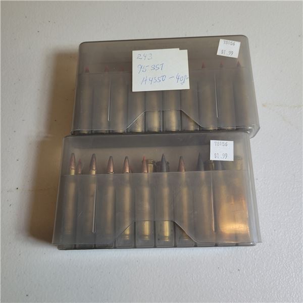 .243 Win Reloaded Ammo