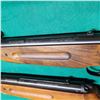 Image 2 : 2 Winchester .177Cal Pellet Guns