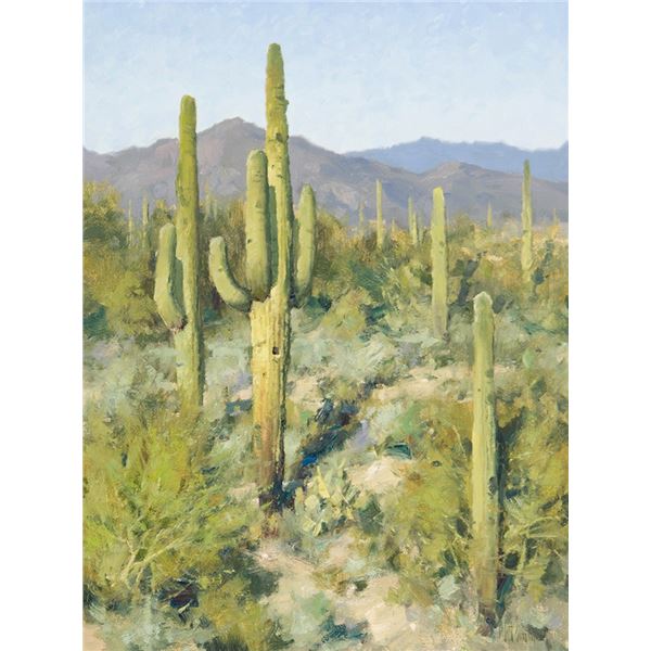 Matt Smith (b. 1960) - 24 x 18 inches