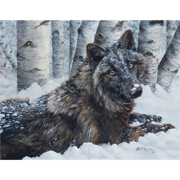 Bonnie Marris (b. 1951) - 11 x 14 inches