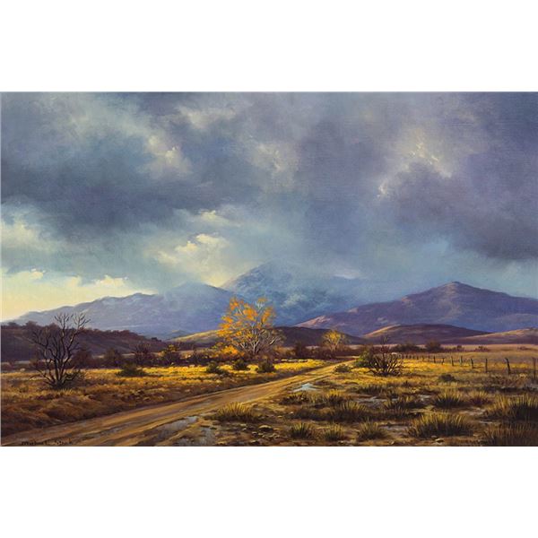 Michael Stack (b. 1947) - 20 x 30 inches