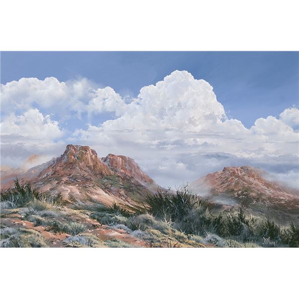 Douglas Oliver (b. 1942) - 24 x 36 inches