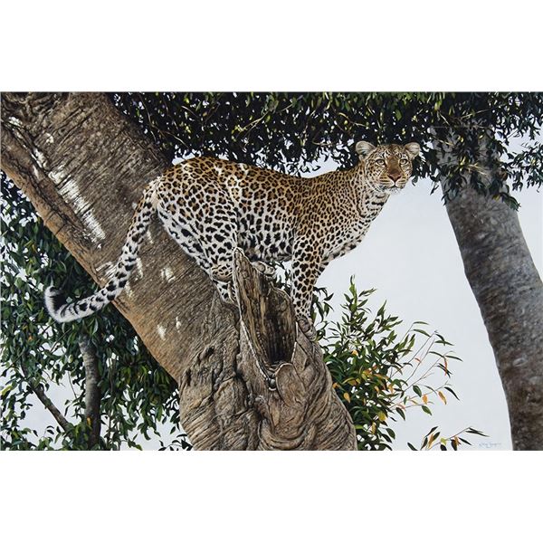 Steve Burgess (b. 1960) - 24 x 36 inches