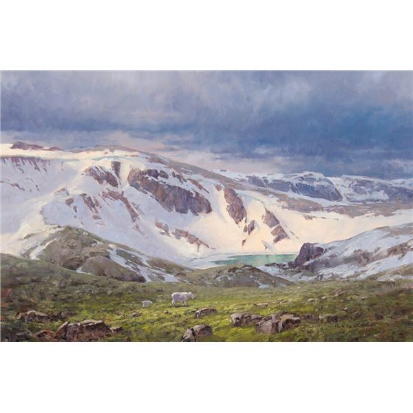 Jim Wilcox (b. 1941) - 20 x 30 inches