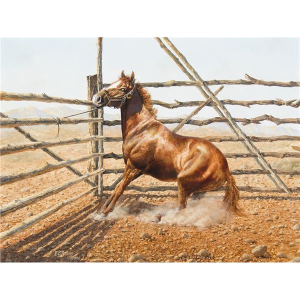 Bonnie Marris (b. 1951) - 18 x 24 inches