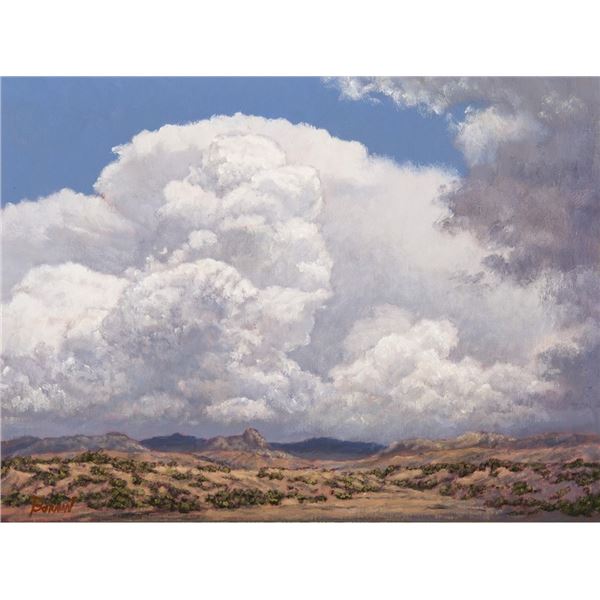 Phil Bob Borman (b. 1961) - 12 x 16 inches