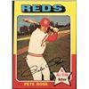 Image 1 : 1975 TOPPS MINI PETE ROSE