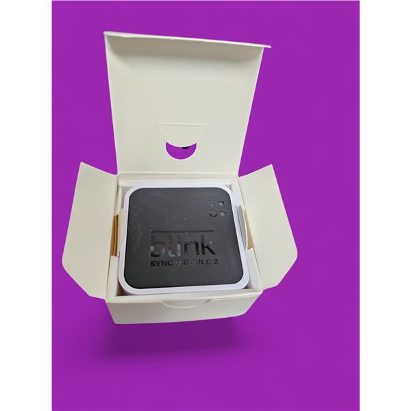 Blink Sync Module