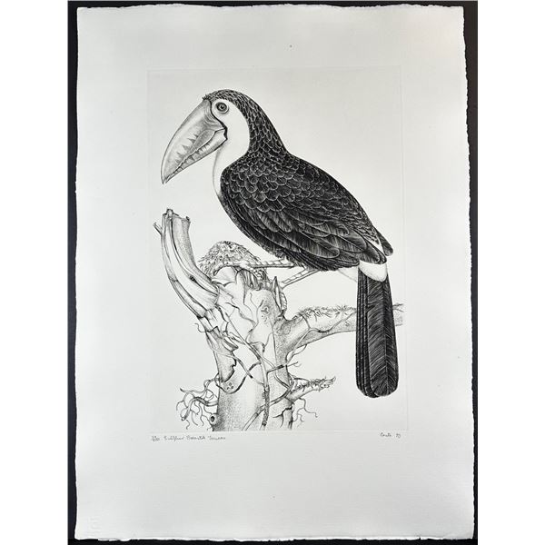 Jack Coutu (1924) Signed Etching, Sulphur Toucan