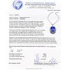 Image 4 : 30.80 ctw Tanzanite and 1.42 ctw Diamond Platinum Pendant (GIA CERTIFIED)