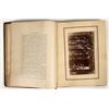 Image 2 : Redwood and Lumbering in California Forests, 1884, VF-XF, Choice [197044]