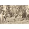 Image 2 : Central Coastal California Photographs & Postcards (Santa Cruz, Monterey, Hollister) [197627]