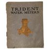 Image 1 : Trident  Water Meters Catalog 1909 [197377]