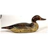 Image 2 : Pintail Duck Wood Decoy c.1900 William J. Mason  [197258]
