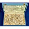 Image 3 : Vintage White Pearly Shell Jewelry [137312]