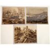 Image 1 : Logging Photos [183915]