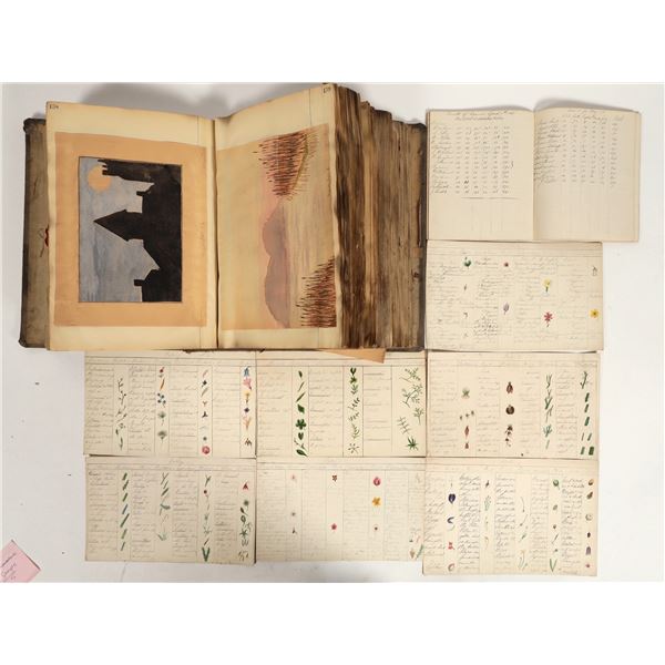 Collection of Illustrations and Drawings From Teachers  [198426]