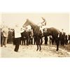 Image 3 : Early Horse Racing Photograph Group (17) [197702]