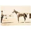 Image 4 : Early Horse Racing Photograph Group (17) [197702]