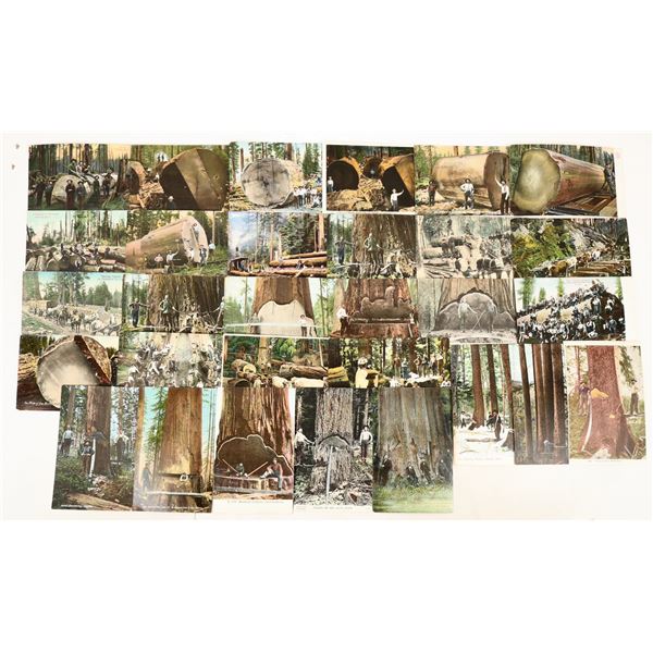 Lumber Jacks Postcards, 30 [197273]