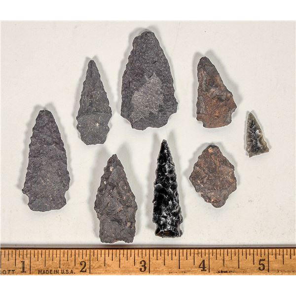 Projectile Points From Washoe County Nevada  (8) [198383]