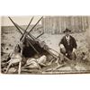 Image 2 : Native American Postcards [198746]
