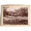 Image 2 : Tejon Ranch c1890, Dual Sided Photographs [200413]