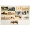 Image 1 : Pendleton, Oregon Rodeo Real Photo Postcard Collection [199772]