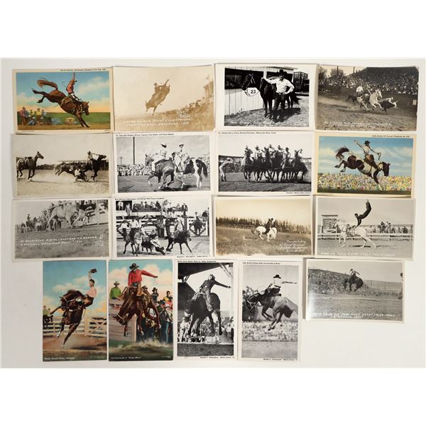 Rodeos Postcard Collection [199774]