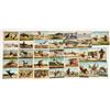 Image 1 : Named Cowboys Postcard Collection [199775]