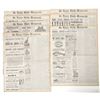 Image 1 : Frank James Trial Newspaper Group, 1883 [193673]