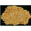 Image 1 : Alaska Placer Gold (14 grams) [197421]