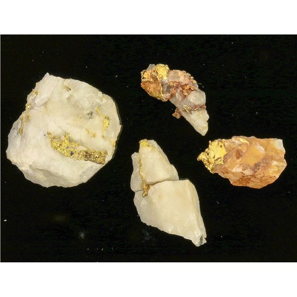 Native Gold in Quartz (24 grams) [198621]