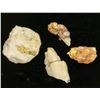 Image 1 : Native Gold in Quartz (24 grams) [198621]