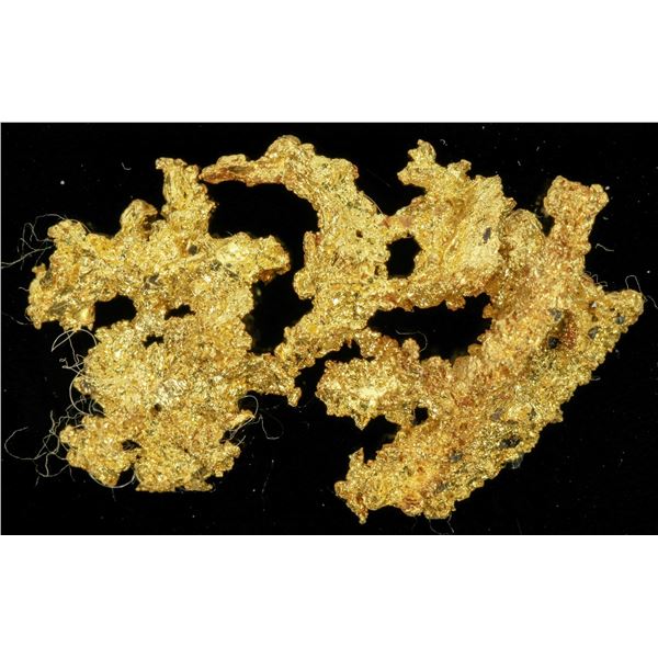 Crystalline Gold Specimen [198690]