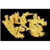 Image 2 : Crystalline Gold Specimen [198690]