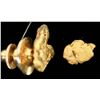 Image 1 : Gold Nuggets (2) [198629]