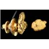 Image 2 : Gold Nuggets (2) [198629]