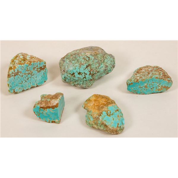 Nevada Turquoise Hand-Selected Specimens (5) [189350]