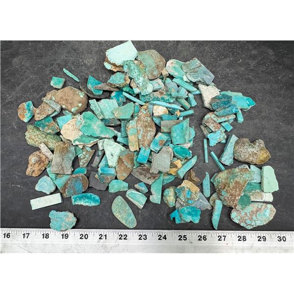 Turquoise - No. 8 Mine Nevada Slabs [193070]