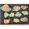 Image 2 : Turquoise - No. 8 Mine Nevada, Polished (10) [193278]
