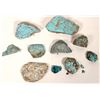 Image 2 : Turquoise Specimens  No. 8 Mine, Nevada - Nice Blue w/spider web (10 pieces) [191956]