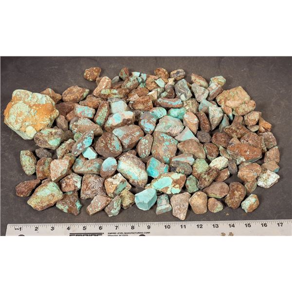 Rough Turquoise, Cut, No. 8 Mine of Nevada [200630]