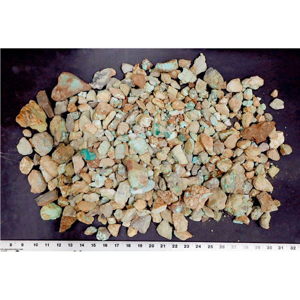 Rough Turquoise, No. 8 Mine of Nevada [200631]