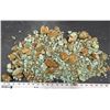 Image 2 : Turquoise - No. 8 Mine Nevada, Oxidized Nuggets [193057]