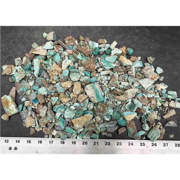 Turquoise - No. 8 Mine Nevada, Smalls [193071]