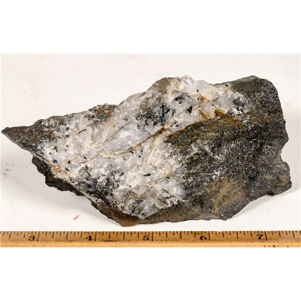 Homestake Formation Ore Specimen with Tourmaline & Vein Quartz [199457]