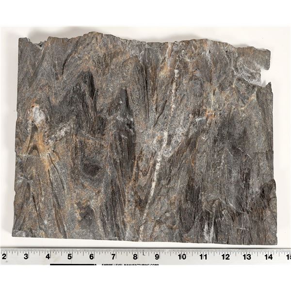 Homestake Formation Specimen, Homestake Mine, South Dakota [199465]